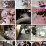 [EXO] <b>민경</b>이 인스타