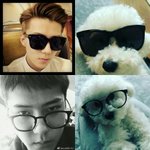 [EXO] 반려<b>동물</b>하고 주인이랑 싱크 오짐