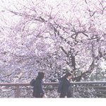 쓸데없이 걱정 많이 하는 애 있냐 ㅠㅠ