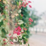 너네는 <b>목욕</b> 샤워 다른 거라고 생각함?