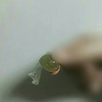 코로로<b>젤리</b> 껍질벗기긔