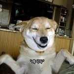 [드루와] 중1이 나한테 <b>가오</b>부렸음