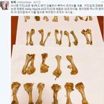 <b>장발</b> 단발 추반좀