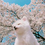 [댓글부탁해] 우리담주에 <b>졸사</b>찍는데 쌍수어떡해ㅠㅠ