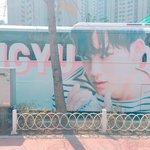 [세븐틴] ㅅㄷ 밍글이 생일 <b>버스</b> 봤다..!