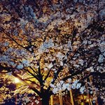 톡선에 oioi브랜드 아는사람 글 보고 느낀건데