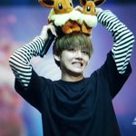 [방탄소년단] 태형이 <b>머리위</b>에 이브이 두마리ㅜㅜ