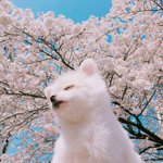 [추반<b>해쥬</b>] 얘들아 졸사 추반좀!!!ㄱㅎㅠㅠ