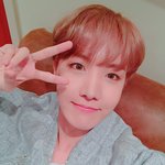 [방탄소년단] <b>호석</b>이 미모 실화냐
