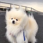 <b>가창</b>평가 본 애들 있어?