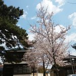 나 16년만에 반곱슬<b>인거</b> 암;;