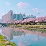 [댓글부탁해] 너네 학교에 특이한 애들 소개해봐