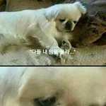[댓글부탁해] <b>톡</b><b>방</b>에서 나쁜 이미지로 찍혔을까봐 두려워