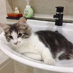 [EXO] 근데 탄이많이컸다