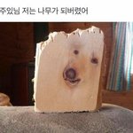 [댓글부탁해] 너네 <b>인티</b> 조카 싫어하면서