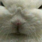 [EXO] 나 자퇴각인데 읽어주면 앙콘성공+최애포카