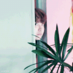 [방탄소년단] 호시기의 <b>갭</b>차이