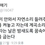 [댓글부탁해] 다들 짝남한테 먼저<b>연락해</b>..?