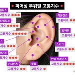 [드루와] 스너그 뚫어본사람있어?