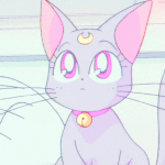 우효-Taddy <b>Bear</b> rises 이노래죻음