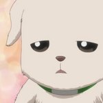 [방탄소년단] <b>은혼</b>보다가 짐니닮은