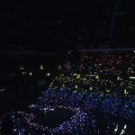 [방탄소년단] 애너하임 콘서트 후기!