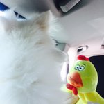 ㅋㅋㅋㅋㅋㅋㅋㅋ낰ㅋㅋㅋㅋㅋㅋㅋㅌ