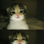 나 책안들고와서 학교다시간다 <b>슈발</b>