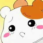 [10대의성] 약19?)내일 <b>신체</b>검사하는데