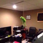 오늘 공부안했는데 <b>뿌듯</b>함ㅋㅋㅋㅋㅋㅋㅋㅋ