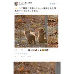 [콜로라도] <b>열도</b>의 어느 마을에 있는......jpg