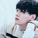 [댓글부탁해] 타팬이본위너