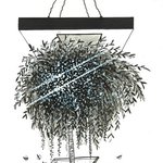 [드루와] 노래 추천해줄께!