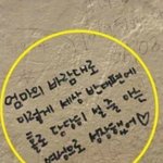 [콜로라도] <b>피렌체</b>에서 당당함을 외치다.jpg