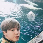 [방탄소년단] 지민이......+사추