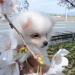 [댓글부탁해] <b>졸사</b> 화장 연한게이쁨 진한게이쁨