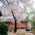 [드루와] 여곤데 분위기가 <b>화목</b>해서 좋아