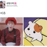 [시우민] 시우민 이번엔 슈비<b>츄</b>???