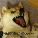 [하이라이트] 나 머글인데 하이라이트