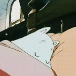 같이자는 인형