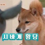 아니근데 마스크를 끼던말던 뭔<b>상관</b>임