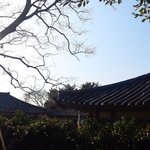 [EXO] 급함요ㅠㅠ추반하면 콘서트간다!!!