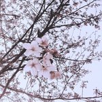 <b>혼전</b>순결이 이상한거임?