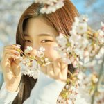 걍 인간 봄 그 자체인 <b>여</b><b>돌</b>