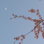 [댓글부탁해] 청순한데 <b>통통</b>하고