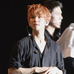 [백현] 옵퐈백현vs동생백현
