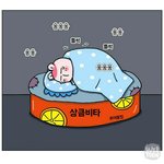제가 이상한 건가요