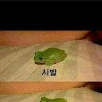 [조언부탁해] 조금길어)체육쌤 성희롱이 너무 심해