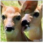 [EXO] 노<b>루스</b>름하다