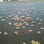 [드루와] 아 ㅅㅣ<b>발</b> <b>사진</b> 잘못보낼뻔